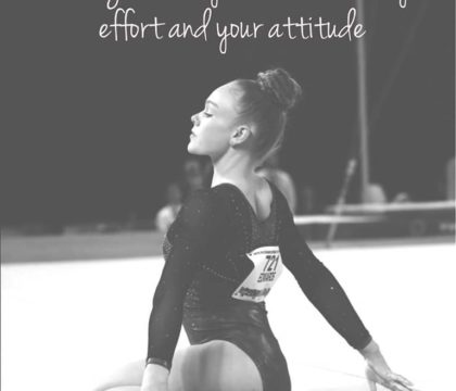 Effort and Attitude